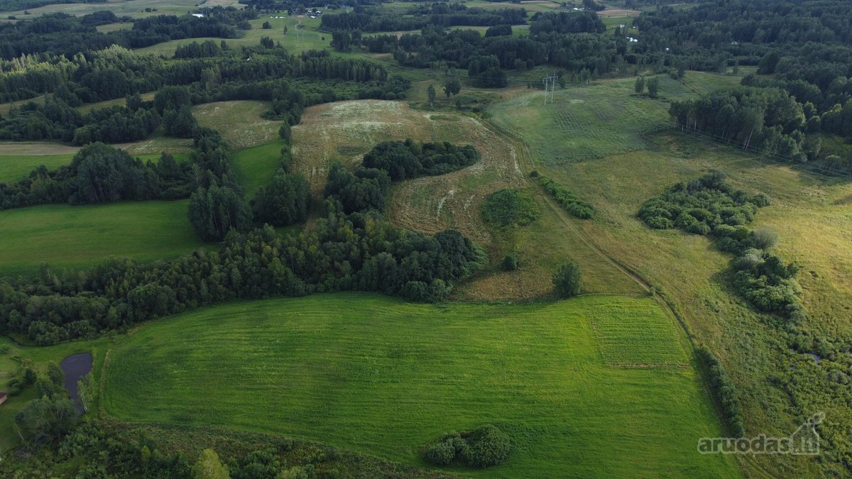 Parduodamas 5 ha Žemės Ūkio Paskirties - nuotraukos Nr. 21