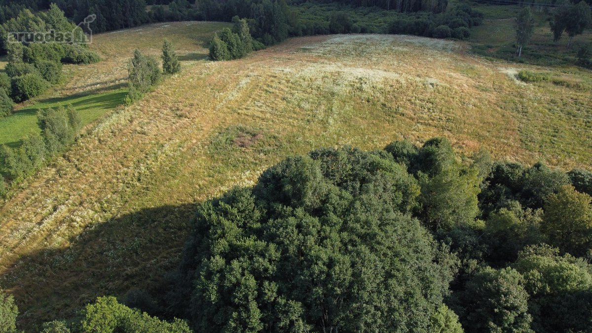 Parduodamas 5 ha Žemės Ūkio Paskirties - nuotraukos Nr. 23