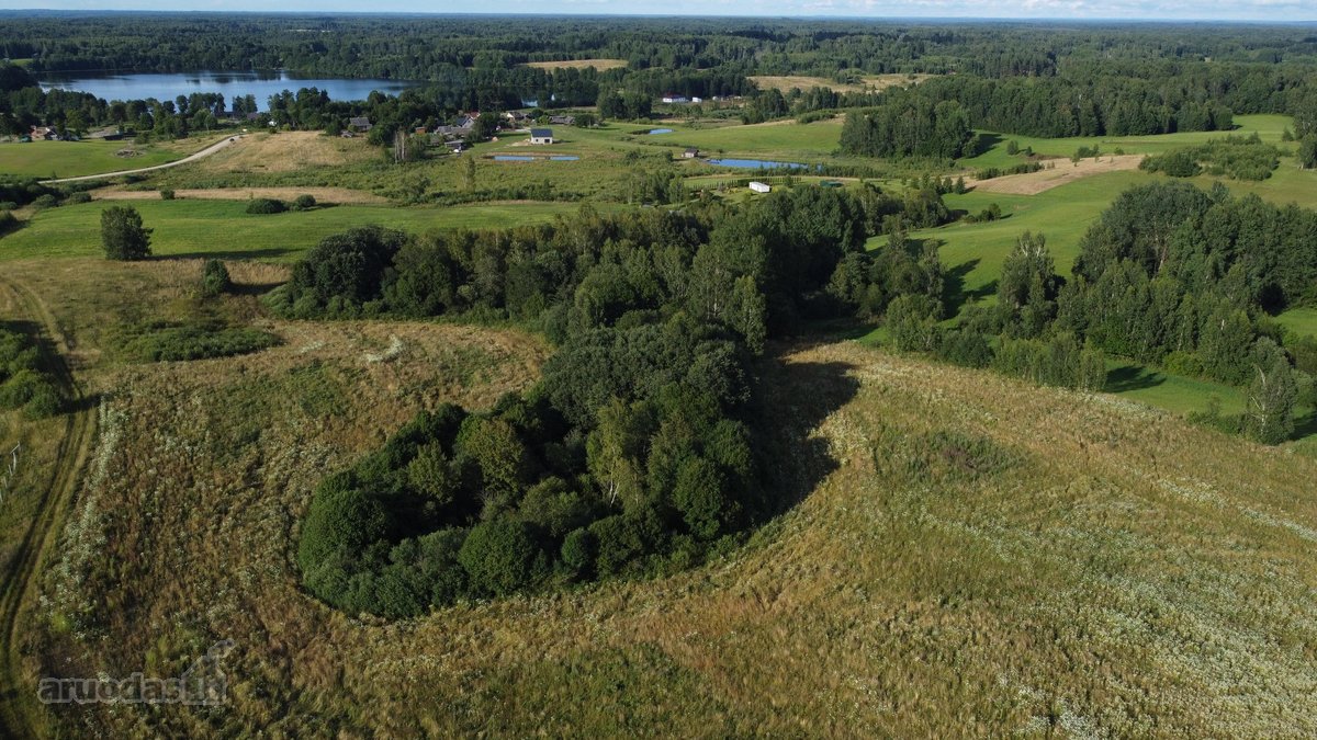 Parduodamas 5 ha Žemės Ūkio Paskirties - nuotraukos Nr. 24