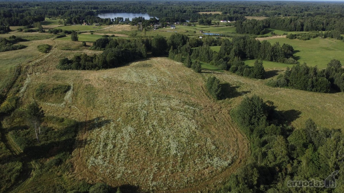 Parduodamas 5 ha Žemės Ūkio Paskirties - nuotraukos Nr. 29
