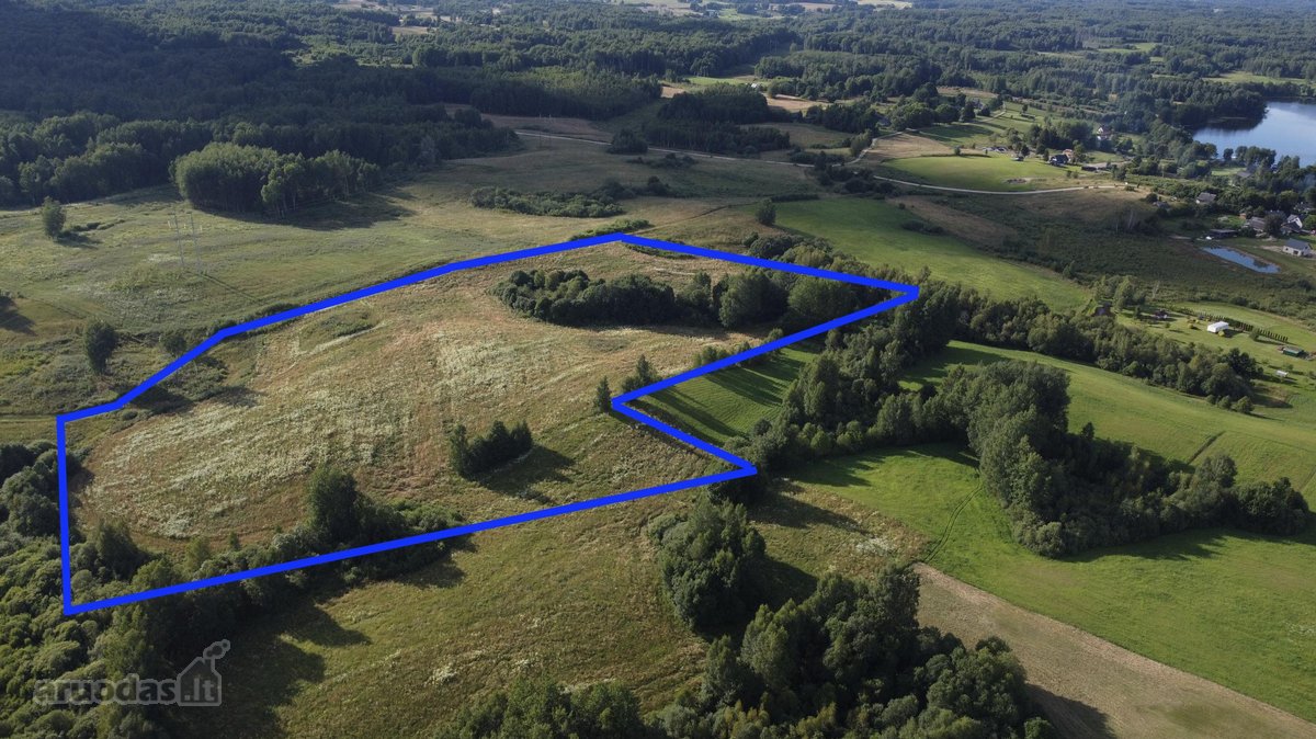 Parduodamas 5 ha Žemės Ūkio Paskirties - nuotraukos Nr. 7