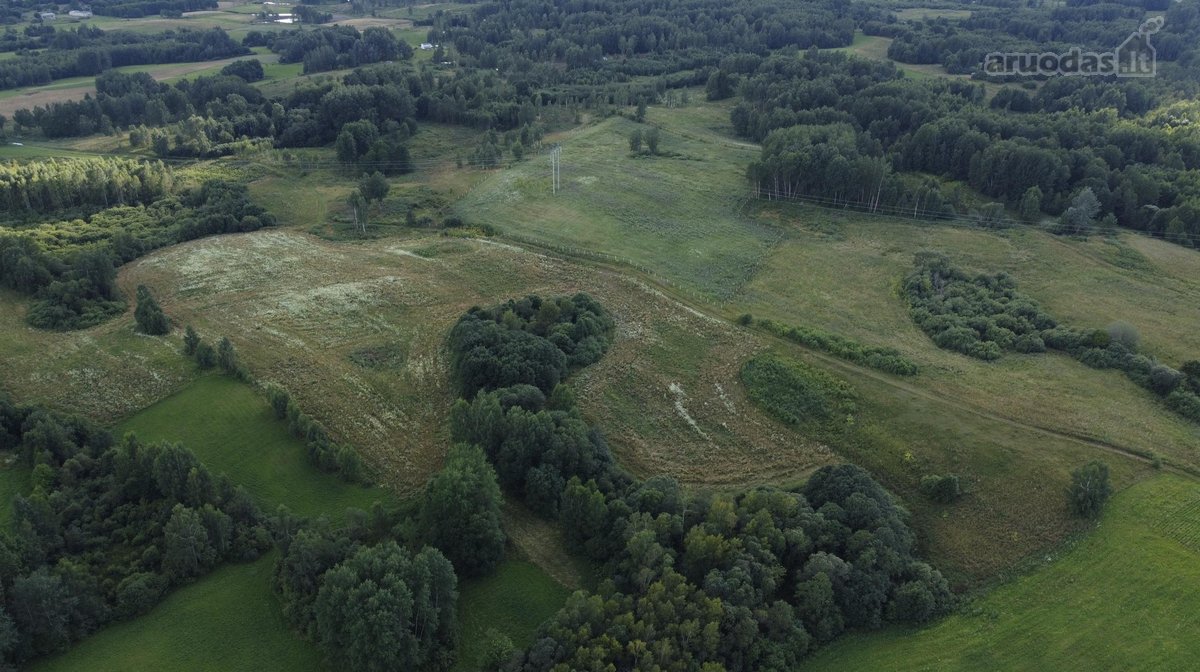 Parduodamas 5 ha Žemės Ūkio Paskirties - nuotraukos Nr. 30