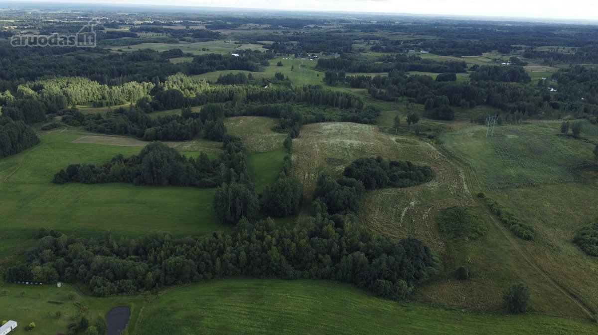 Parduodamas 5 ha Žemės Ūkio Paskirties - nuotraukos Nr. 31