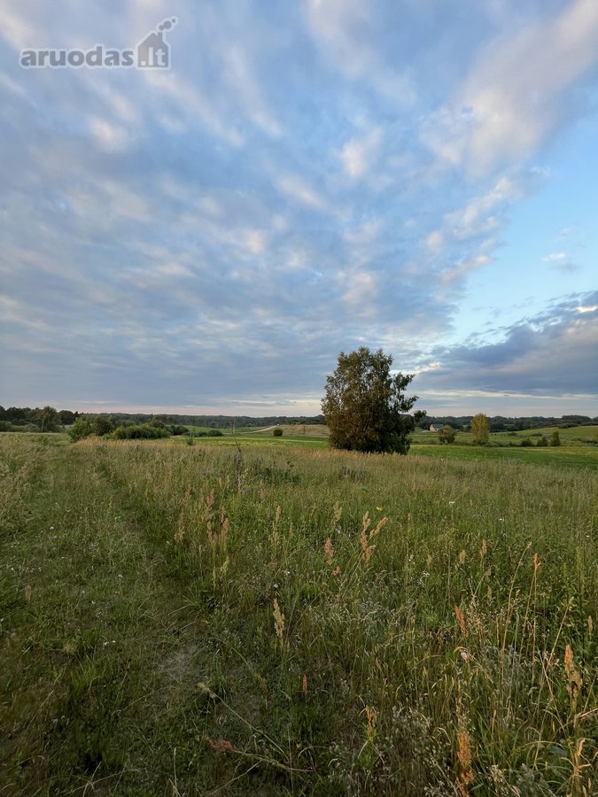 Parduodamas 5 ha Žemės Ūkio Paskirties - nuotraukos Nr. 32