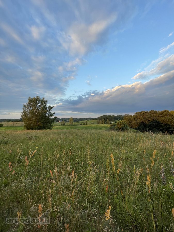 Parduodamas 5 ha Žemės Ūkio Paskirties - nuotraukos Nr. 33