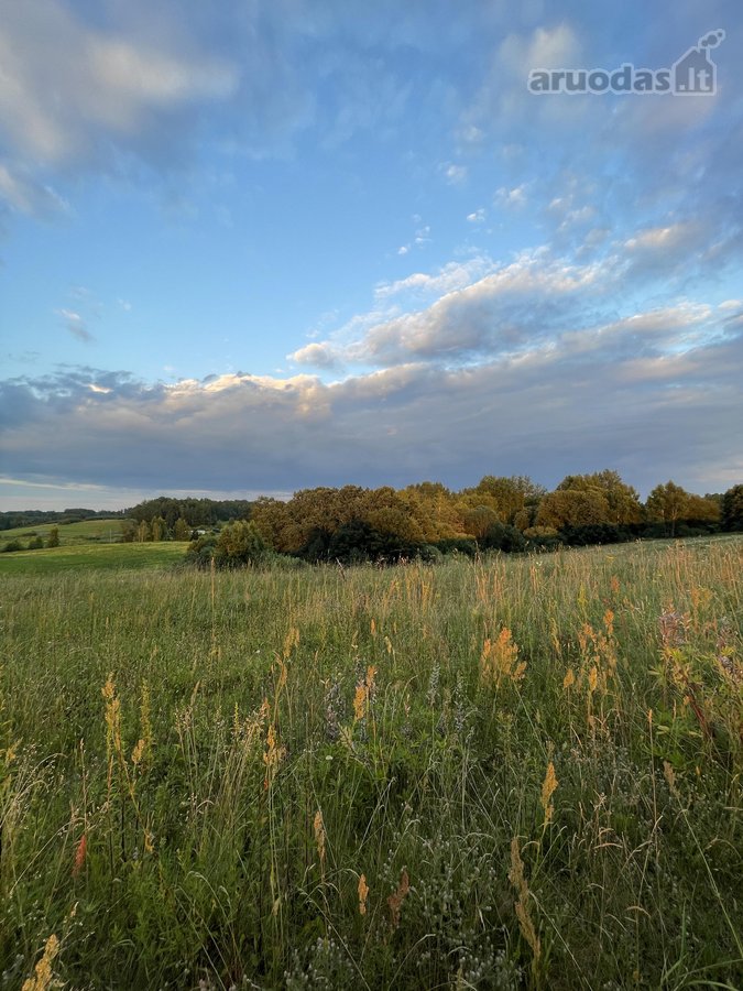 Parduodamas 5 ha Žemės Ūkio Paskirties - nuotraukos Nr. 34