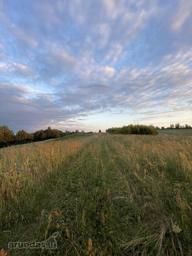 Parduodamas 5 ha Žemės Ūkio Paskirties - nuotraukos Nr. 35