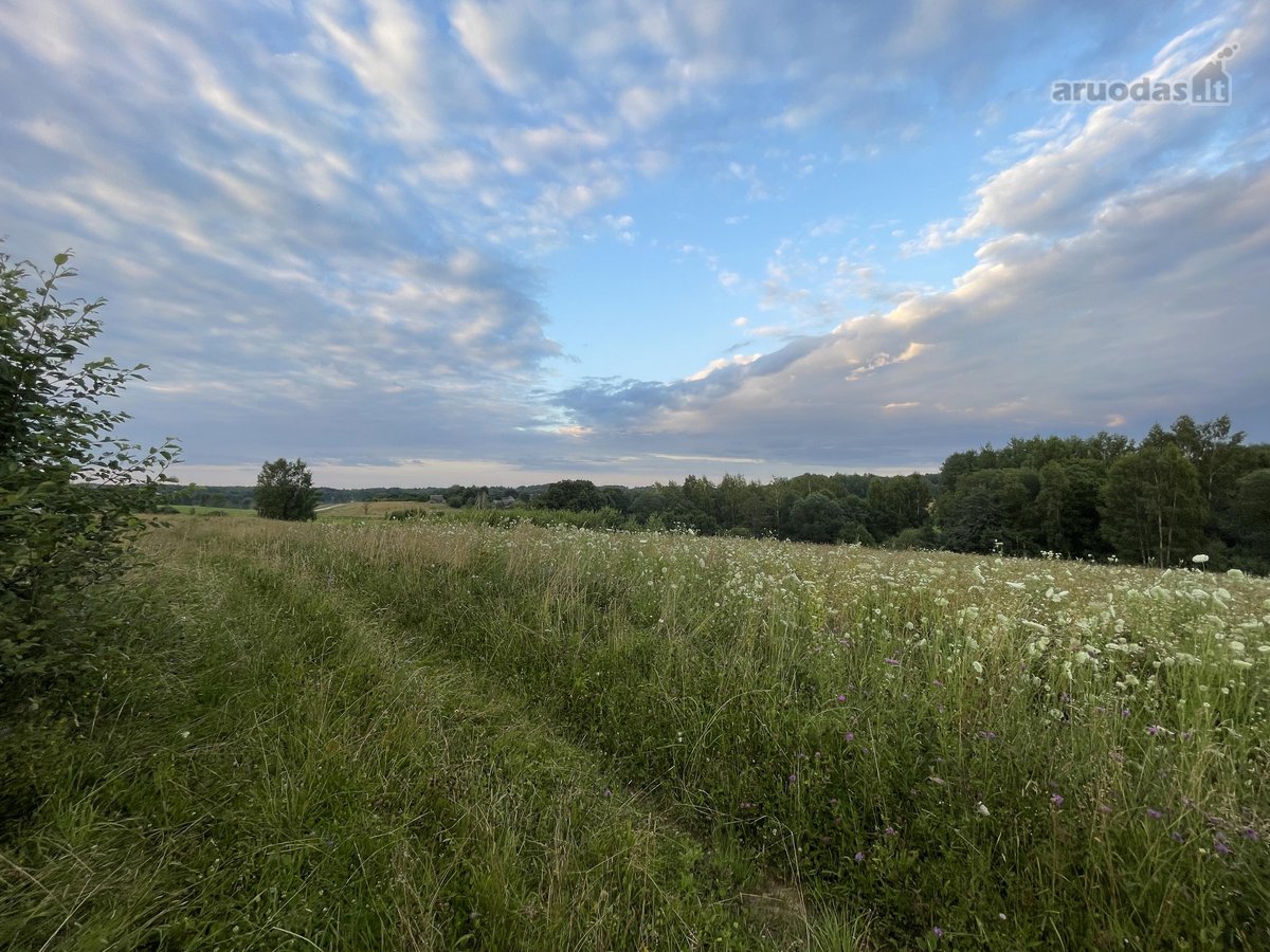 Parduodamas 5 ha Žemės Ūkio Paskirties - nuotraukos Nr. 36