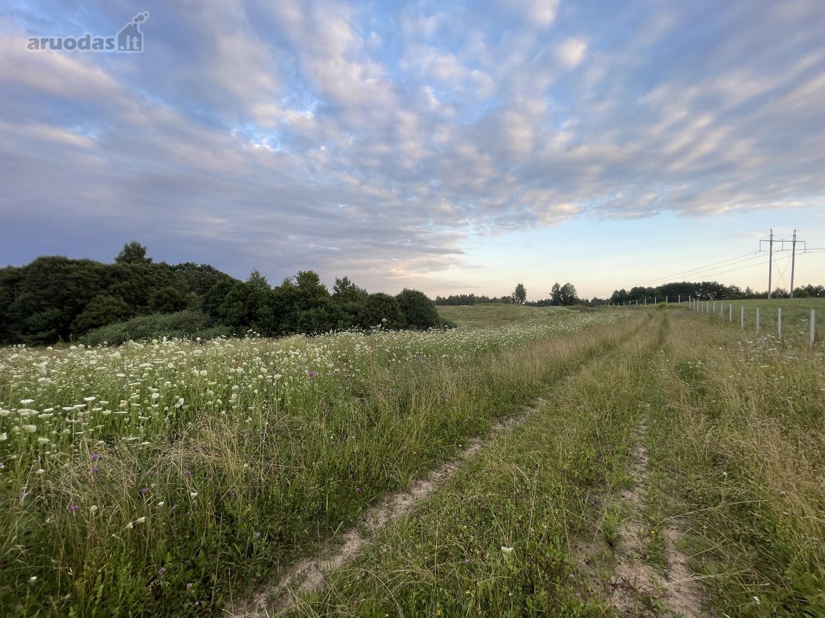 Parduodamas 5 ha Žemės Ūkio Paskirties - nuotraukos Nr. 37