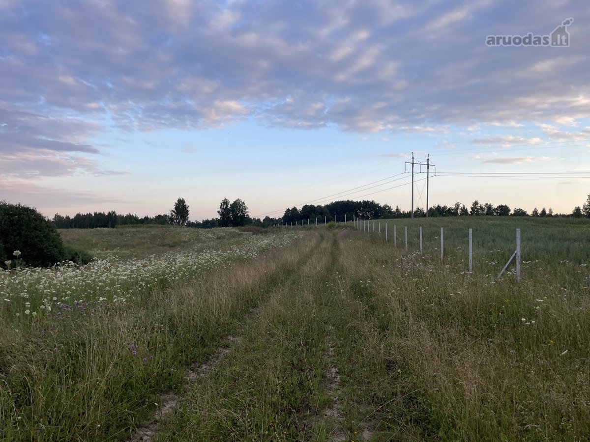 Parduodamas 5 ha Žemės Ūkio Paskirties - nuotraukos Nr. 38