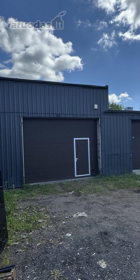 Panevėžio m. sav., Panevėžio m., Rožės - nuotraukos Nr. 3