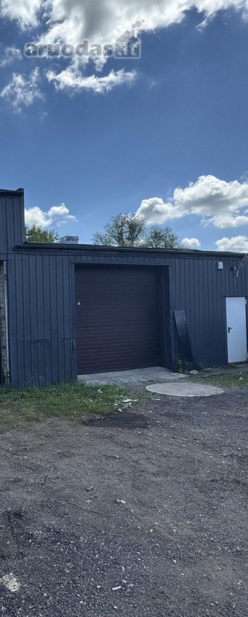 Panevėžio m. sav., Panevėžio m., Rožės - nuotraukos Nr. 2