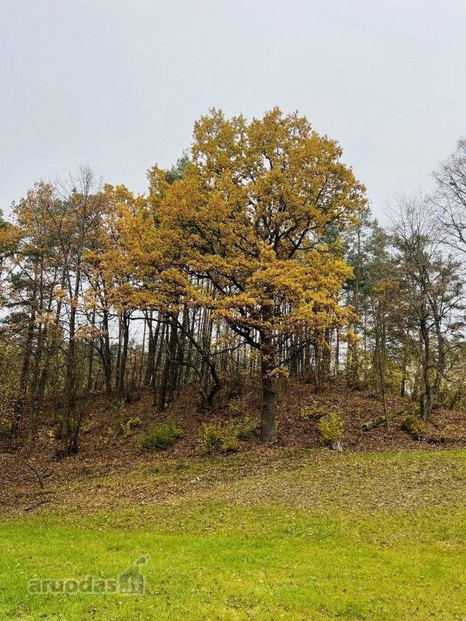 Parduodamas išskirtinis sklypas Neries - nuotraukos Nr. 6