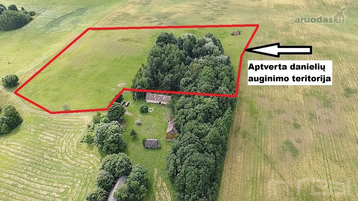 Bendra informacija apie parduodamą ūkį: - nuotraukos Nr. 2