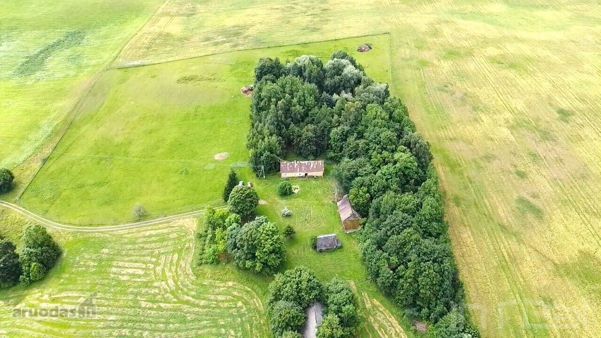 Bendra informacija apie parduodamą ūkį: - nuotraukos Nr. 3
