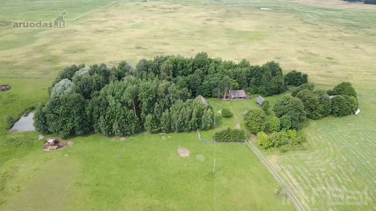 Bendra informacija apie parduodamą ūkį: - nuotraukos Nr. 12