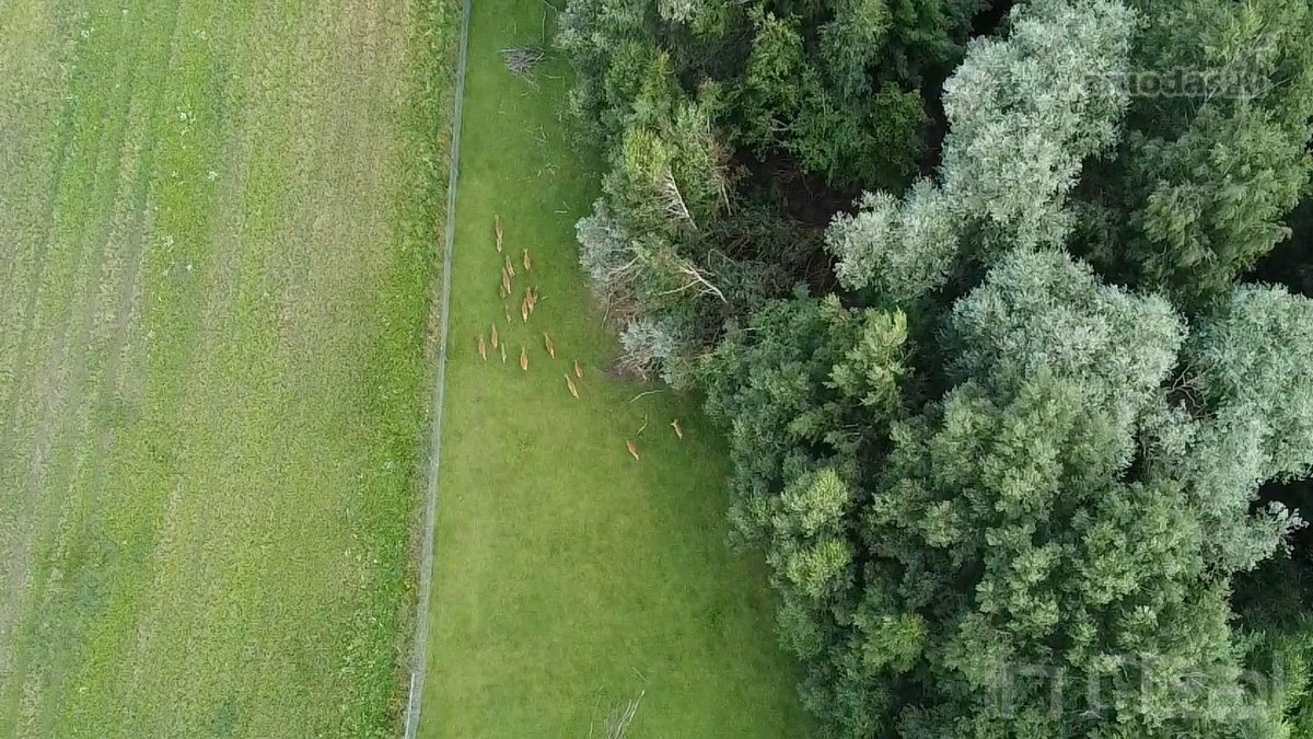 Bendra informacija apie parduodamą ūkį: - nuotraukos Nr. 13