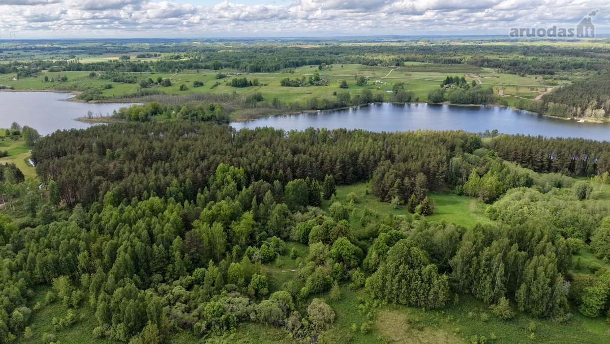 Parduodamas 8.21 Ha žemės ūkio paskirties - nuotraukos Nr. 9