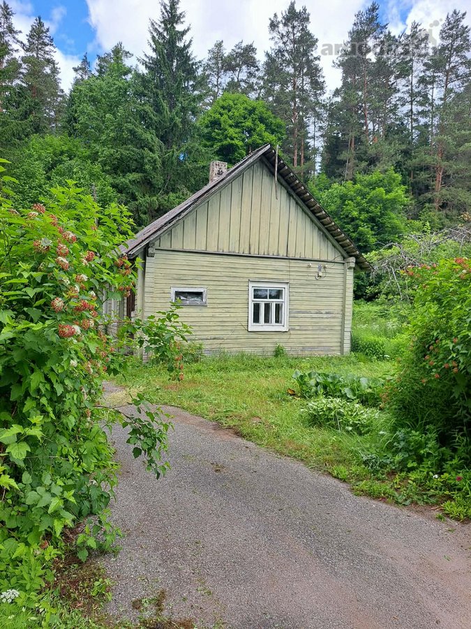 Parduodama sodyba Labanoro girioje, prie - nuotraukos Nr. 3