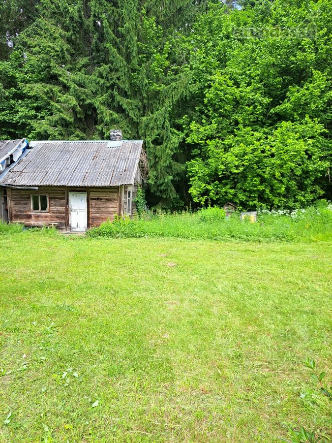 Parduodama sodyba Labanoro girioje, prie - nuotraukos Nr. 5