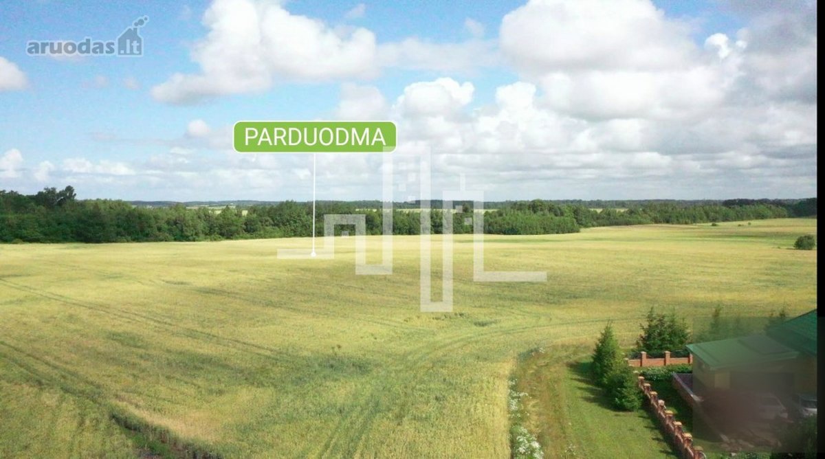 Parduodami sklypai ramioje ir perspektyvioje - nuotraukos Nr. 7