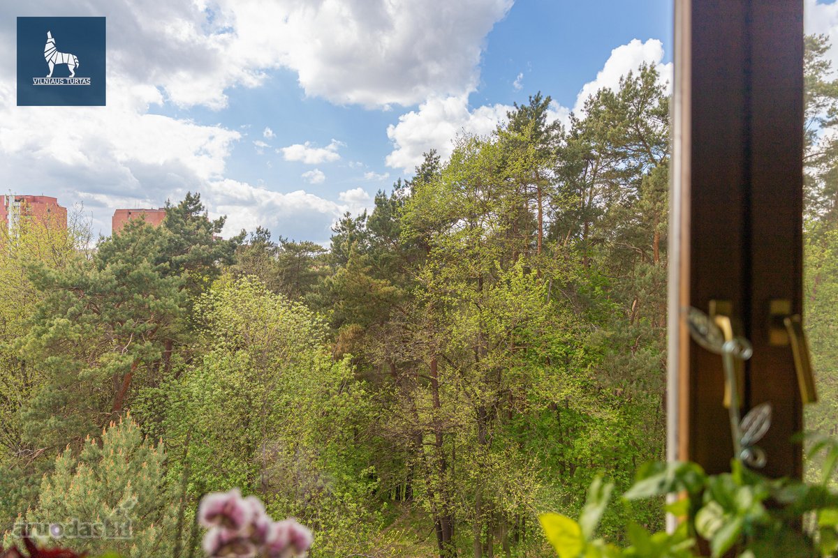 Parduodamas 3 Kambarių Butas Šalia Jomanto Parko - nuotraukos Nr. 9