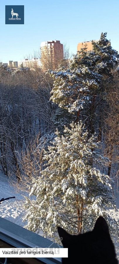 Parduodamas 3 Kambarių Butas Šalia Jomanto Parko - nuotraukos Nr. 27