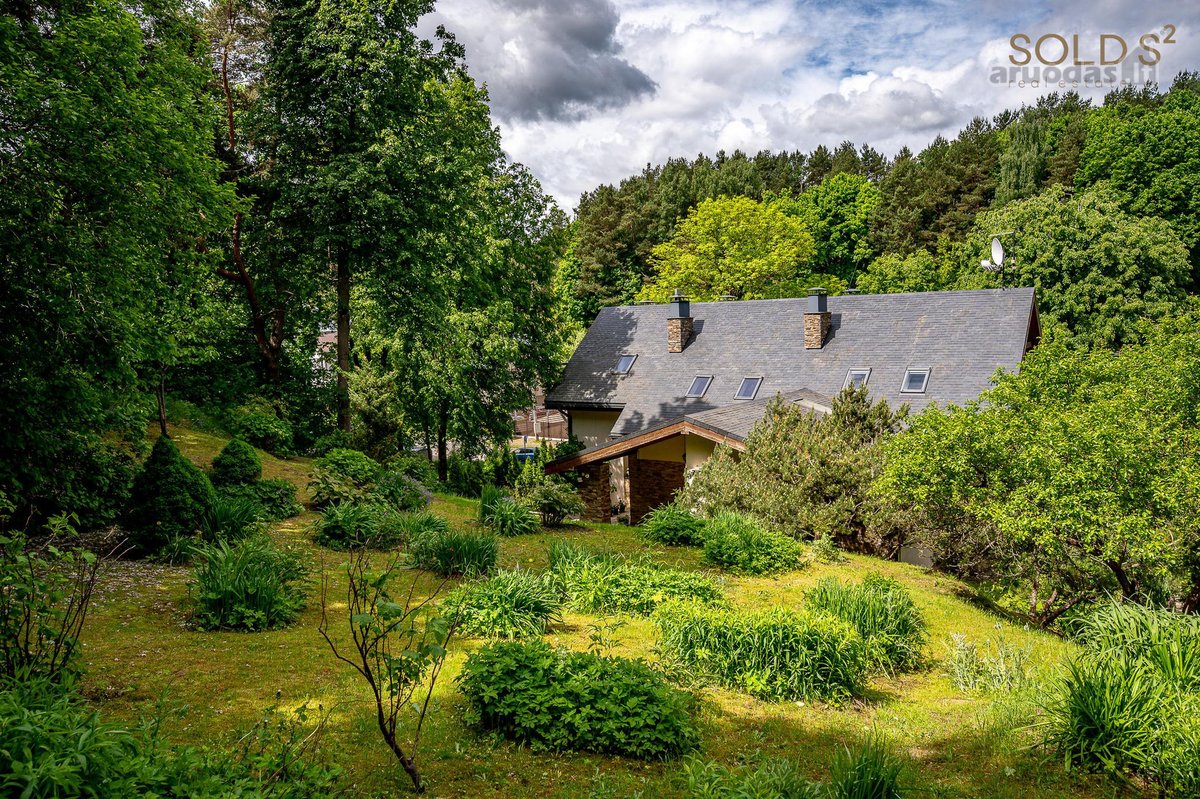 Filaretų gatvės pabaigoje, apsuptas brandaus - nuotraukos Nr. 19