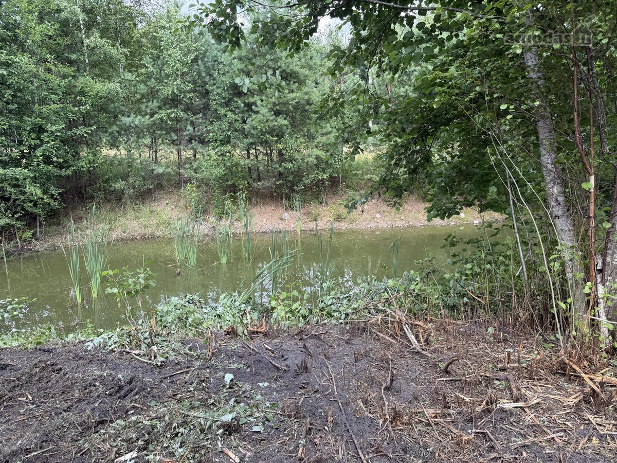 Parduodama sodyba su didele žeme, mišku ir - nuotraukos Nr. 8