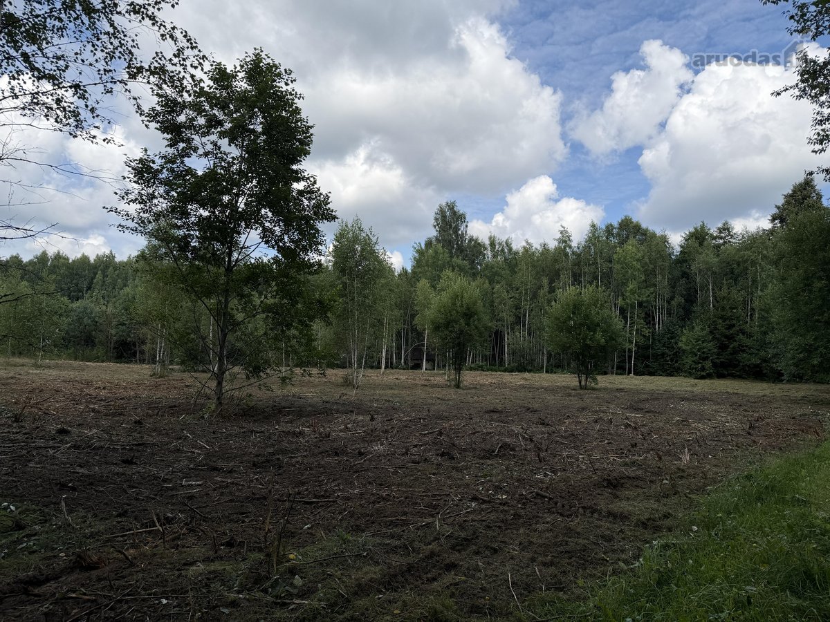 Parduodama sodyba su didele žeme, mišku ir - nuotraukos Nr. 13