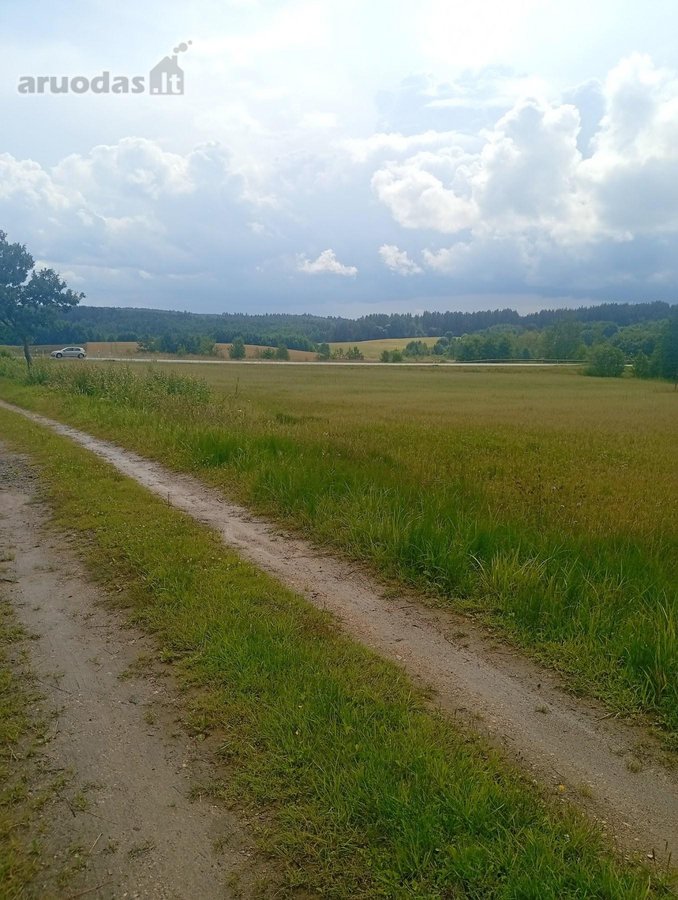 Parduodamas 2,65 ha sklypas su parengtu - nuotraukos Nr. 5