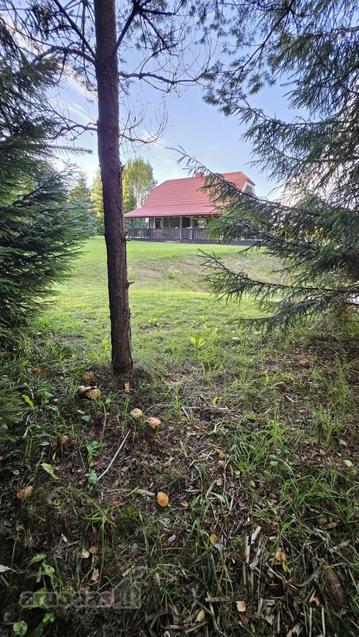 Parduodama sodybą su garantuota ramybę gamtos - nuotraukos Nr. 18