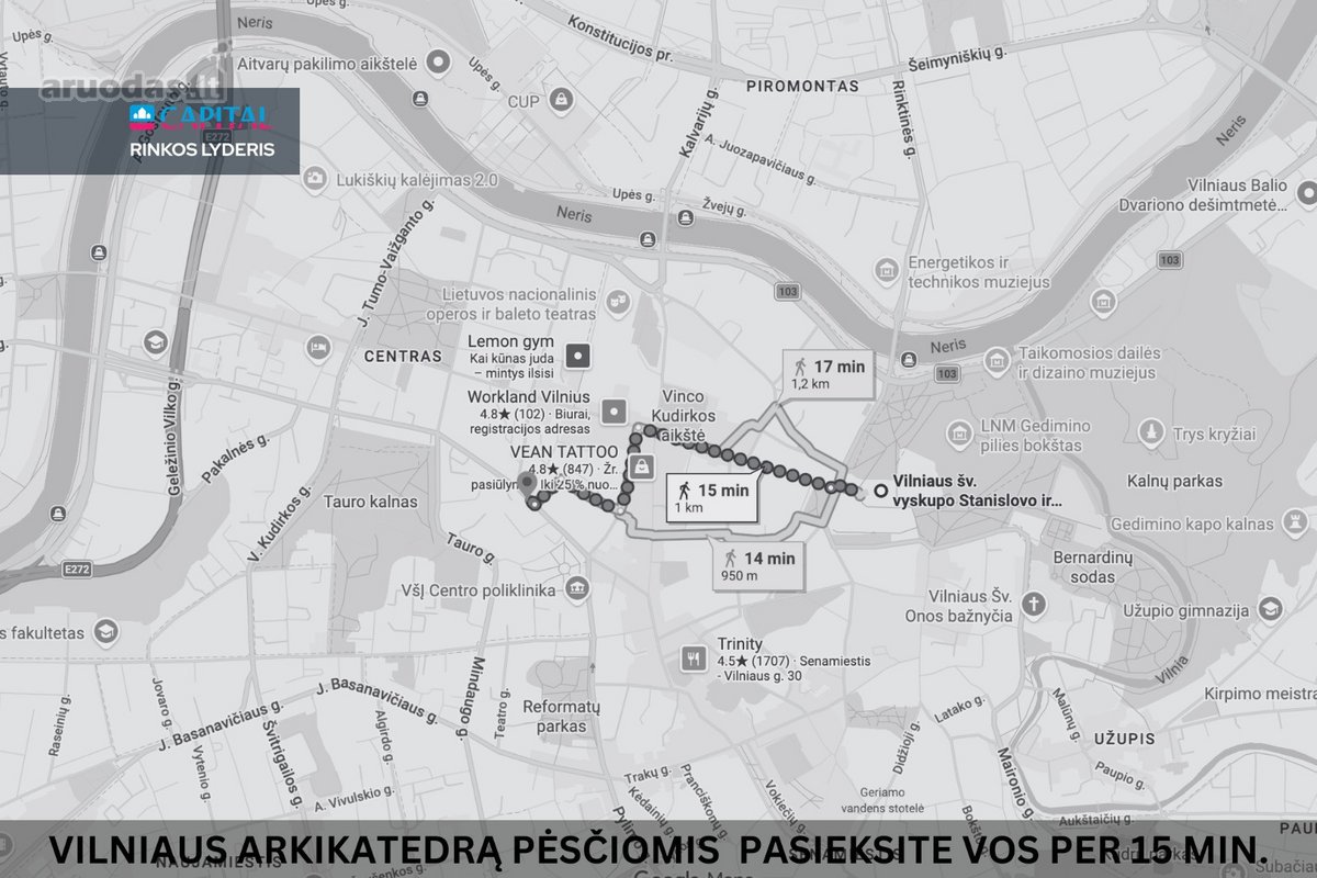 Parduodamas Stilingai Įrengtas 1 Kambario - nuotraukos Nr. 17