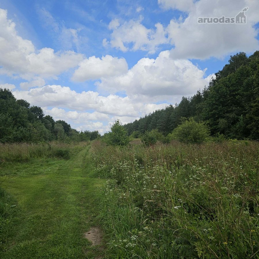 Parduodamas Unikalus 4,3 Ha Žemės Ūkio - nuotraukos Nr. 3