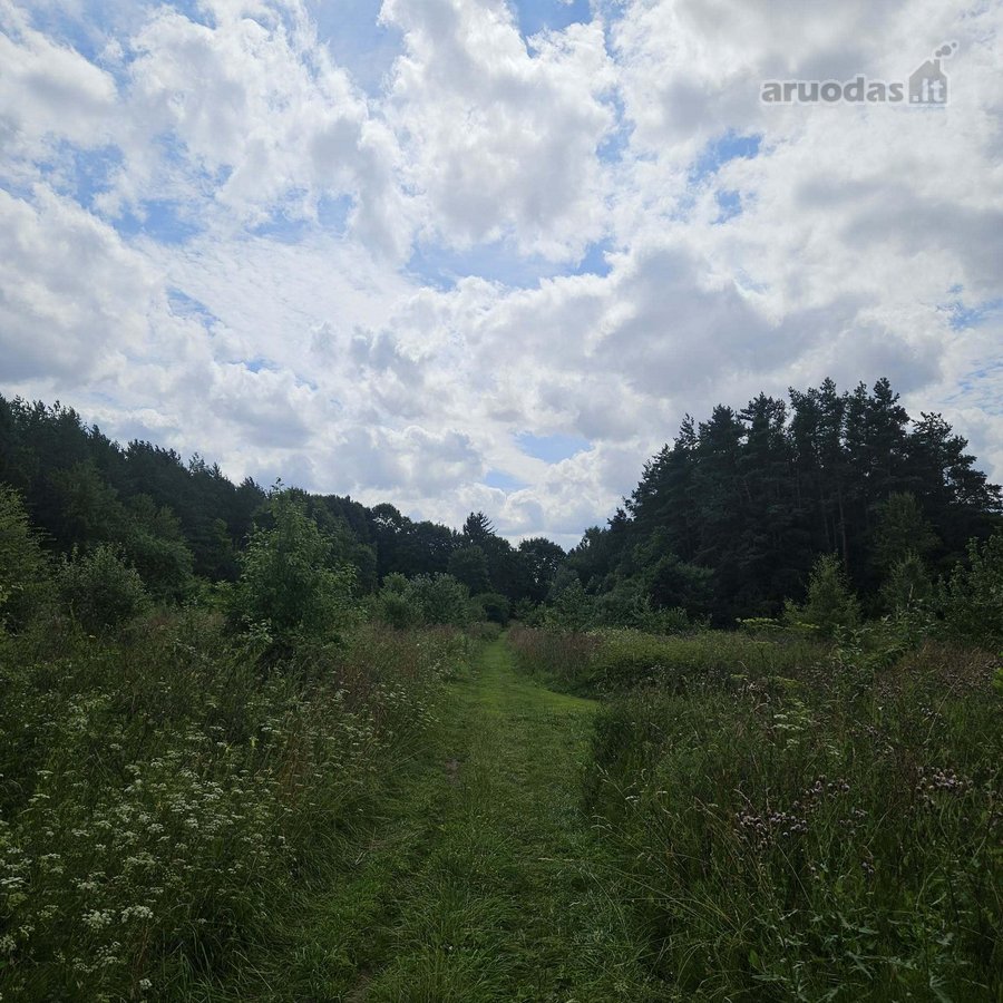 Parduodamas Unikalus 4,3 Ha Žemės Ūkio - nuotraukos Nr. 4