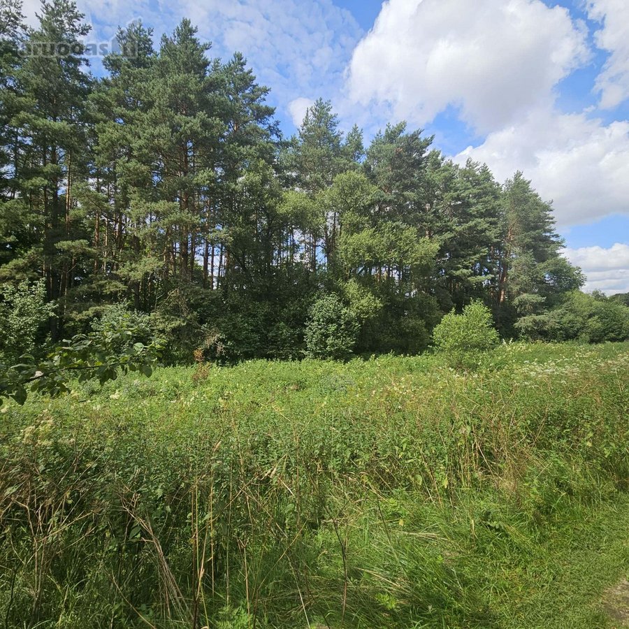 Parduodamas Unikalus 4,3 Ha Žemės Ūkio - nuotraukos Nr. 5
