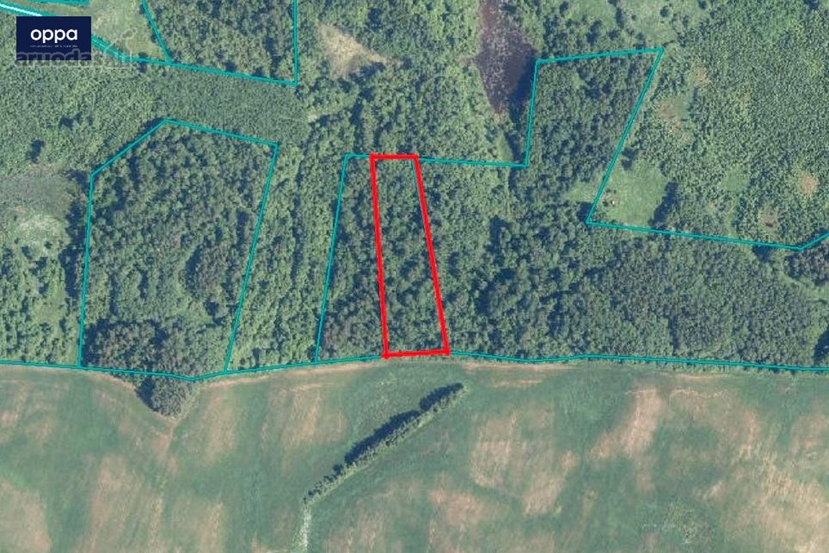 Parduodamas 1,08 ha malkinis miškas. - nuotraukos Nr. 2