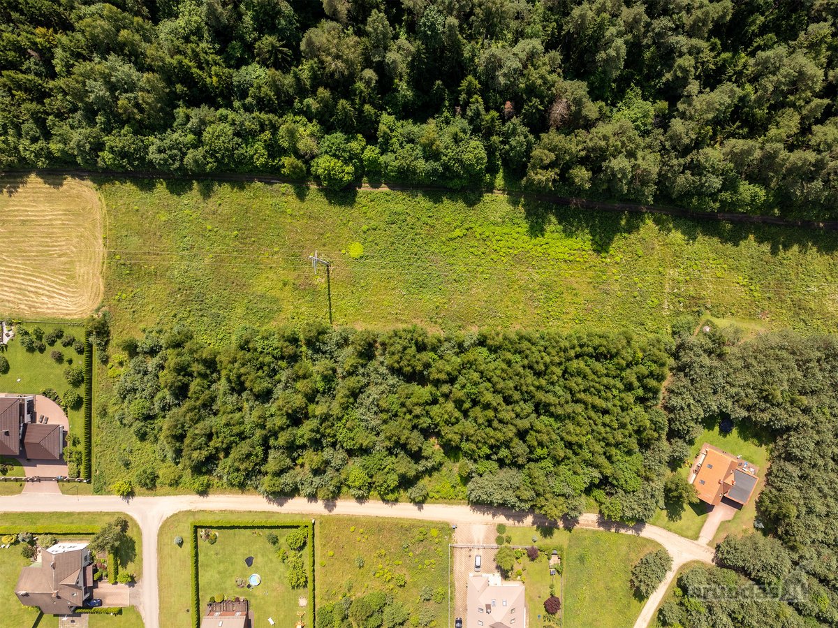 Parduodami keturi, vienas šalia kito esantys - nuotraukos Nr. 14