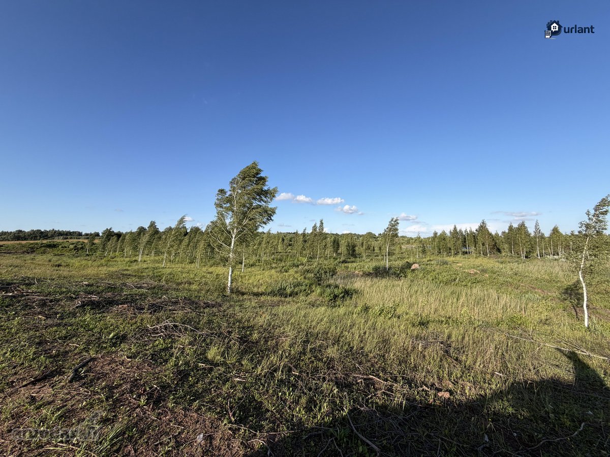 Šiaulių r. sav., Ginkūnų sen., Malavėniukų k. - nuotraukos Nr. 16