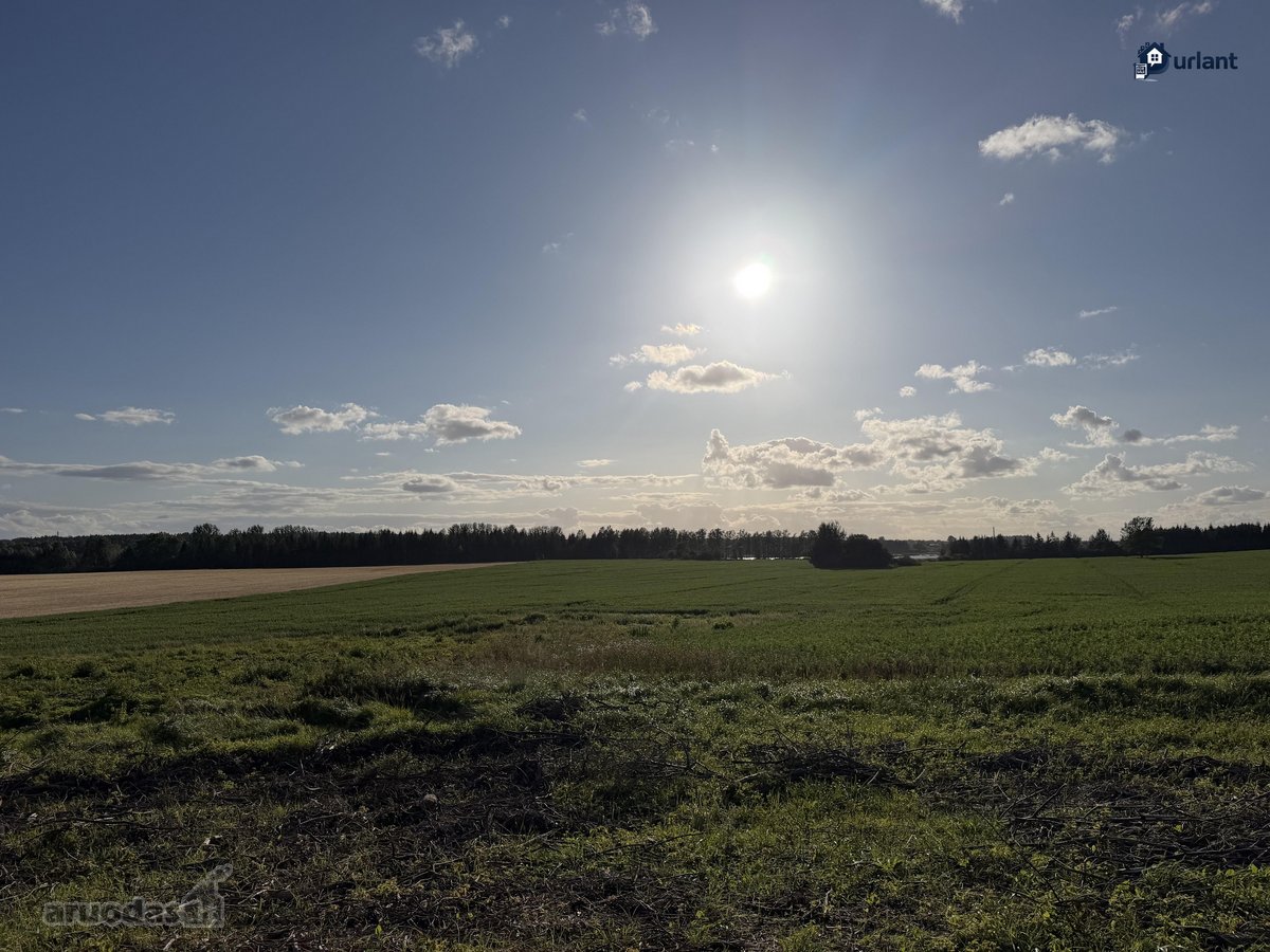 Šiaulių r. sav., Ginkūnų sen., Malavėniukų k. - nuotraukos Nr. 18