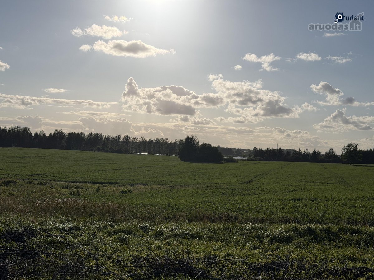 Šiaulių r. sav., Ginkūnų sen., Malavėniukų k. - nuotraukos Nr. 19