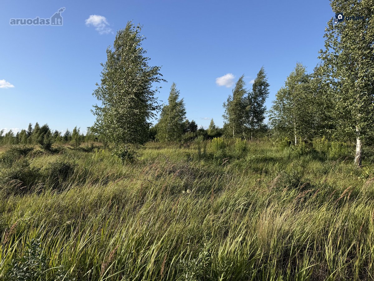 Šiaulių r. sav., Ginkūnų sen., Malavėniukų k. - nuotraukos Nr. 20