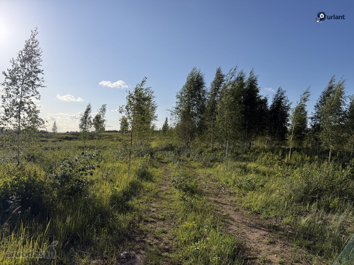 Šiaulių r. sav., Ginkūnų sen., Malavėniukų k. - nuotraukos Nr. 24