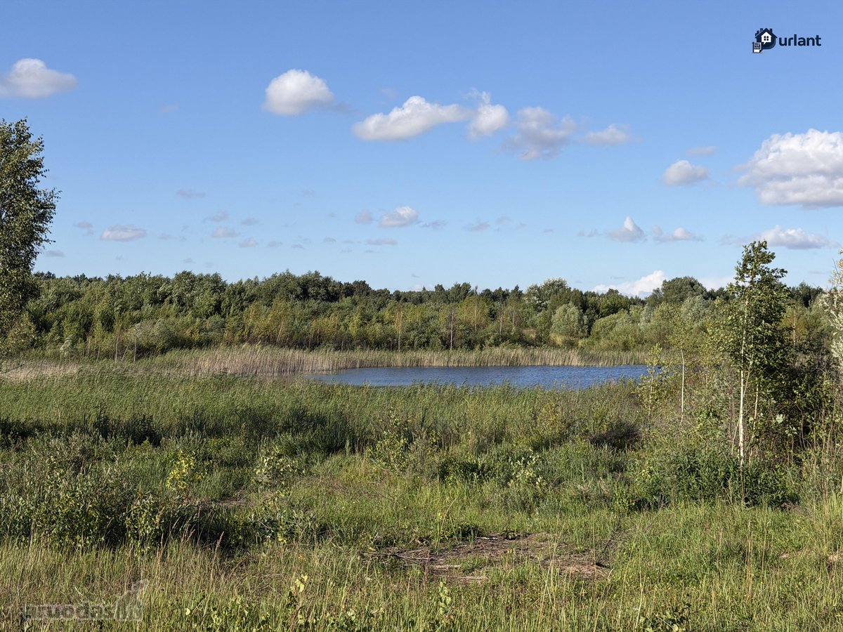Šiaulių r. sav., Ginkūnų sen., Malavėniukų k. - nuotraukos Nr. 25