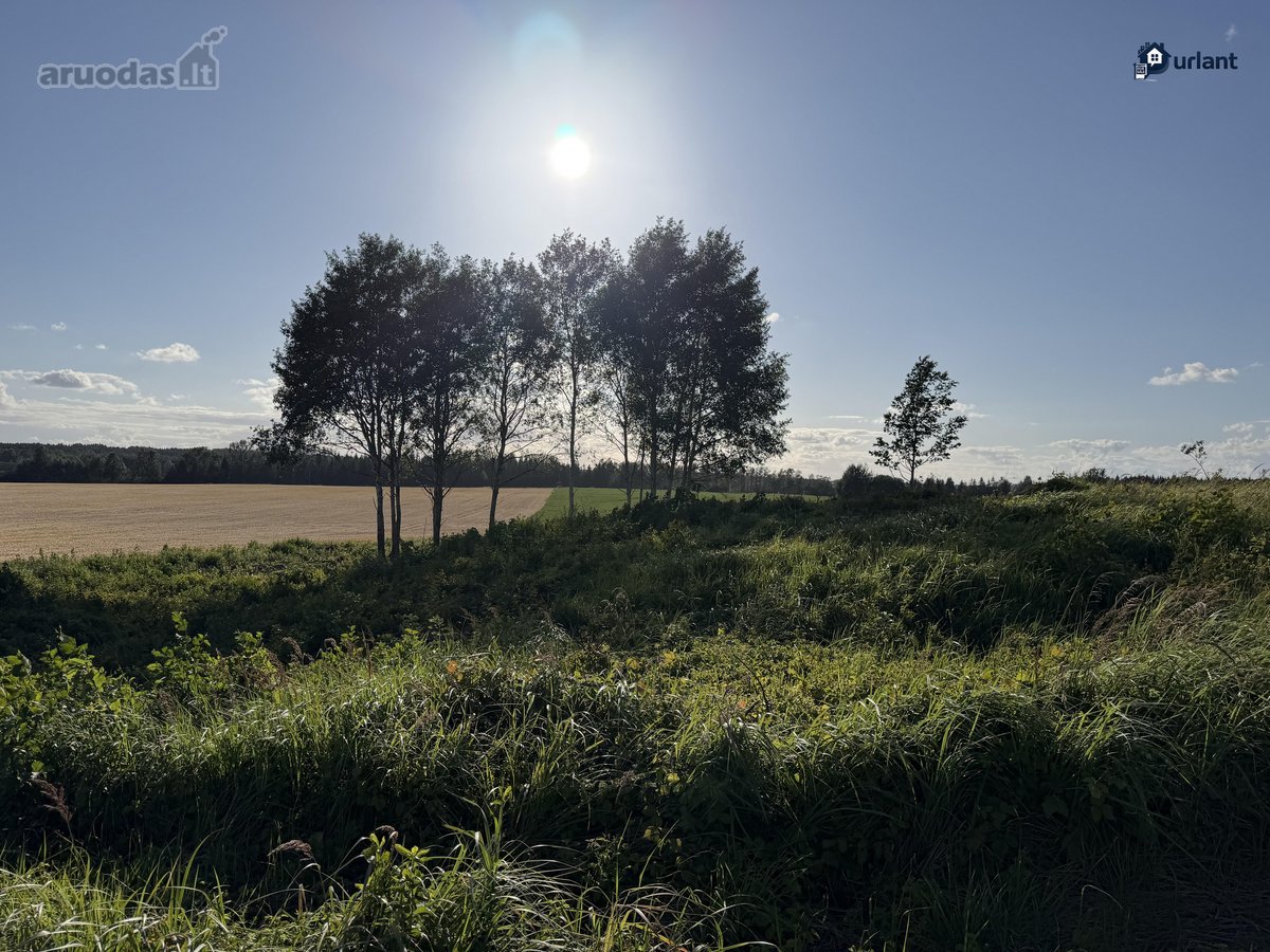 Šiaulių r. sav., Ginkūnų sen., Malavėniukų k. - nuotraukos Nr. 26