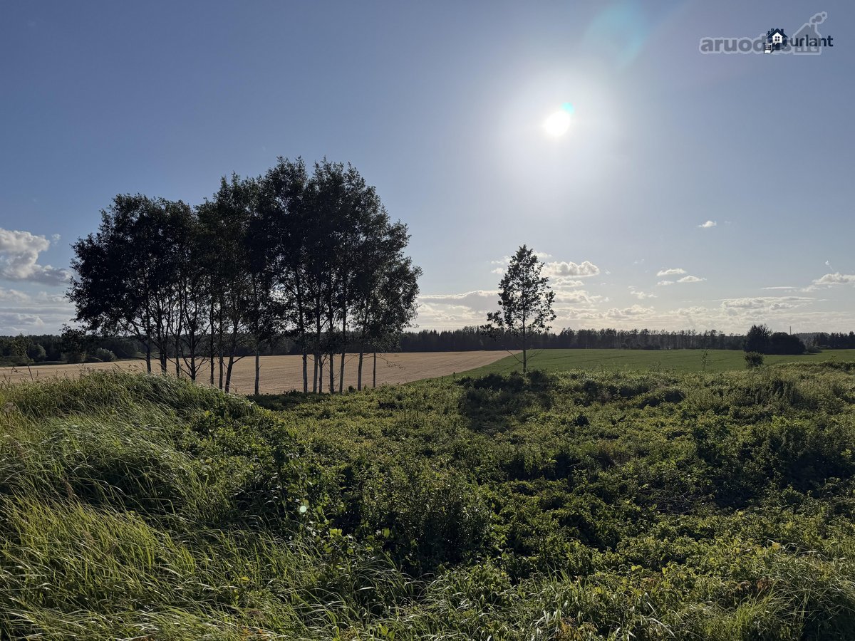 Šiaulių r. sav., Ginkūnų sen., Malavėniukų k. - nuotraukos Nr. 27
