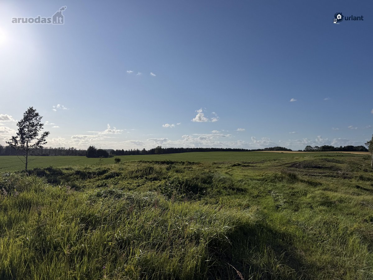 Šiaulių r. sav., Ginkūnų sen., Malavėniukų k. - nuotraukos Nr. 28