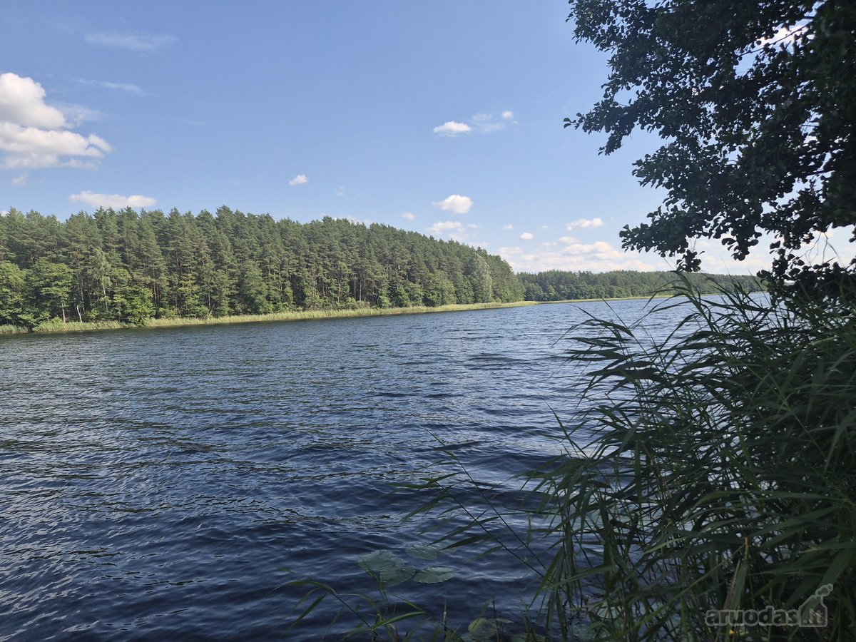 Parduodamas geras, taisyklingos formos žemės - nuotraukos Nr. 4