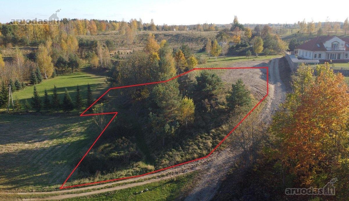 Parduodami du gretimi sklypai - namų valdos, - nuotraukos Nr. 7