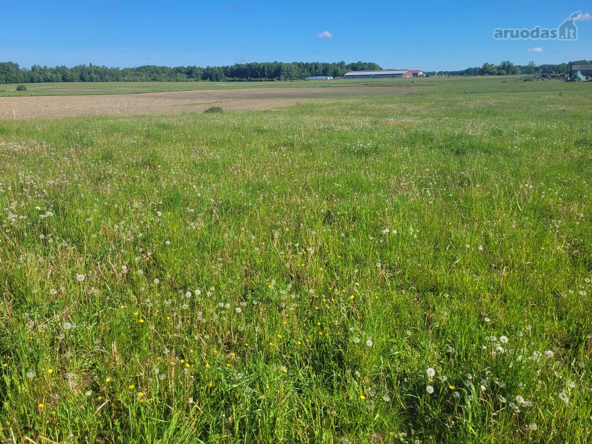 Parduodamas 2 kambarių butas su atskiru - nuotraukos Nr. 18